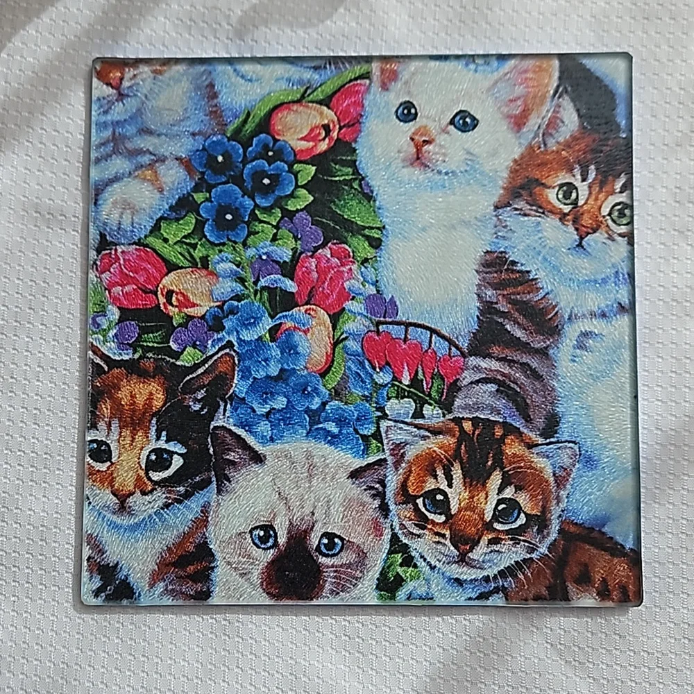 Kittens Galore  8-inch Cutting/Serving Boards Tempered Glass  Set Of Two